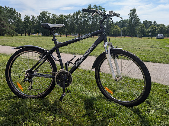 Jalgratas Classic 2.0 Legend