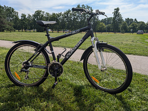 Jalgratas Classic 2.0 Legend (1 foto / 2)