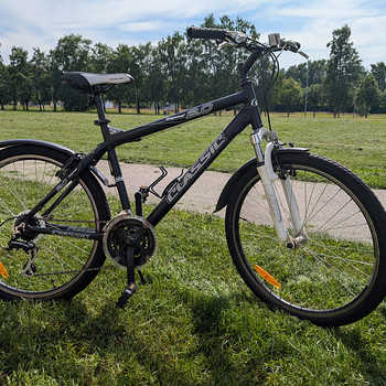Jalgratas Classic 2.0 Legend