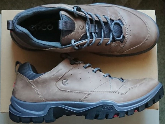 ECCO 44