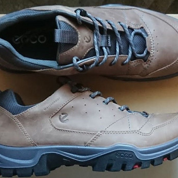 ECCO 44