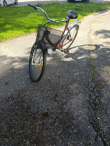 Naiste jalgratas (5 foto / 5)