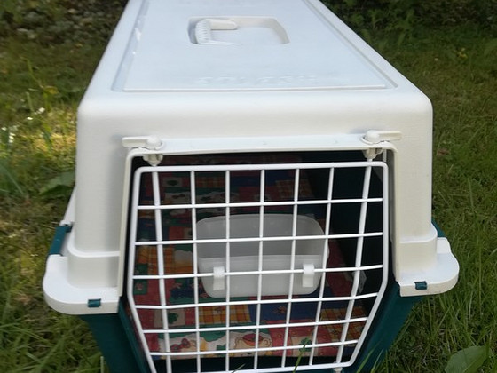 Loomade transpordikott