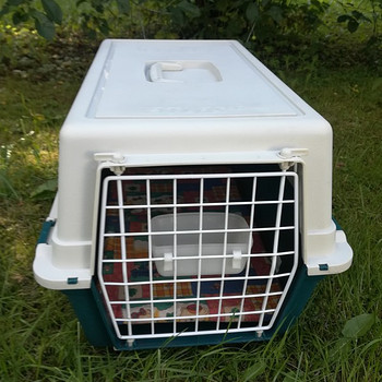 Loomade transpordikott