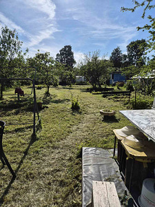 Kallavere, Jõelähtme vald, Harjumaa (4 фото из 21)