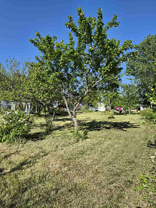 Kallavere, Jõelähtme vald, Harjumaa (20 фото из 21)