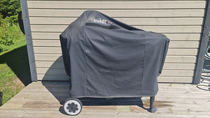 Угольный гриль Weber Performer (3 фото из 3)