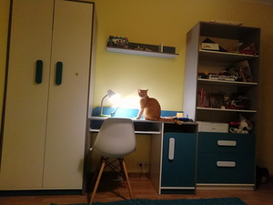 Riiul sahtlitega (2 foto / 3)