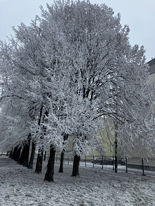 Koristustöö (1 foto / 1)