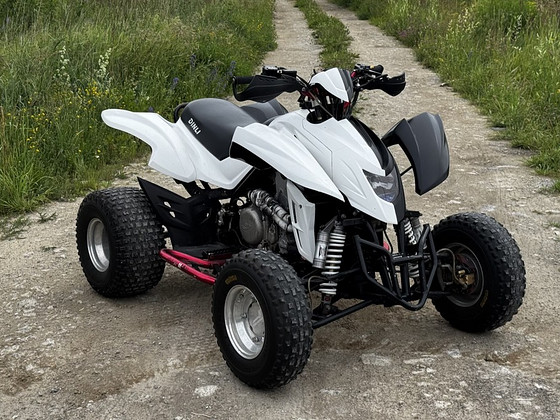 ATV/QUAD Dinli DL901-450 - 450 куб. см и 35 кВт