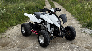 ATV/QUAD Dinli DL901-450 - 450cc & 35kW (1 foto / 10)