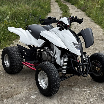 ATV/QUAD Dinli DL901-450 - 450cc & 35kW