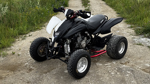 ATV/QUAD Dinli DL901-450 - 450cc & 35kW (2 foto / 10)