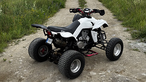 ATV/QUAD Dinli DL901-450 - 450cc & 35kW (3 foto / 10)
