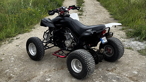 ATV/QUAD Dinli DL901-450 - 450cc & 35kW (4 foto / 10)