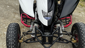 ATV/QUAD Dinli DL901-450 - 450cc & 35kW (6 foto / 10)