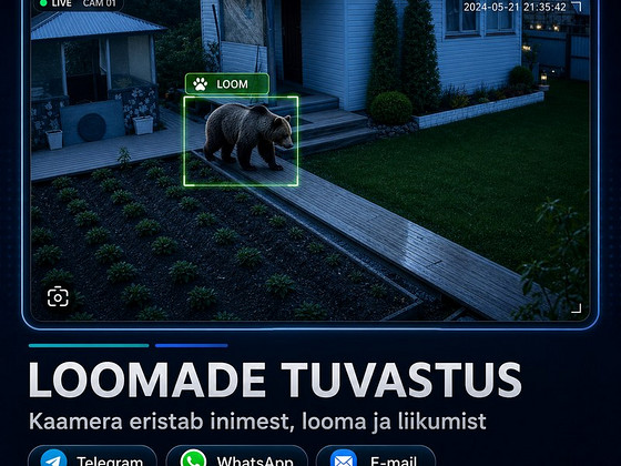 AI-videovalve paigaldus, töö kontroll, turvalisus