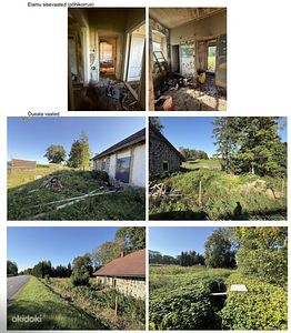 Kivikooli, Uudeküla, Tapa vald, Lääne-Virumaa (2 фото из 6)