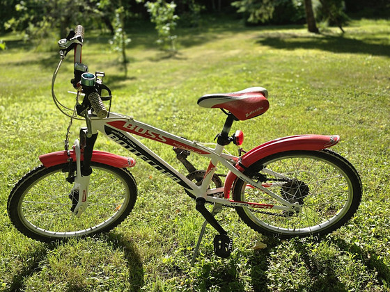 Bottecchia Boss 20 Hardtail