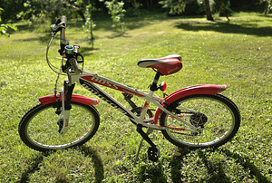 Bottecchia Boss 20 Hardtail (1 фото из 3)