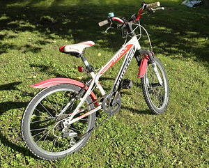 Bottecchia Boss 20 Hardtail (2 фото из 3)