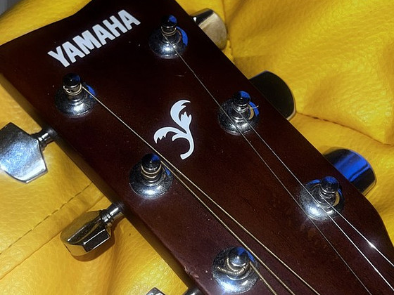 Yamaha F310