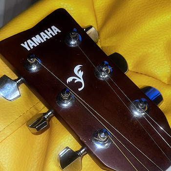 Yamaha F310