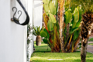 HD PARQUE CRISTOBAL TENERIFE (9 foto / 10)