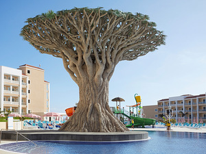 BAHIA PRINCIPE EXPLORE FANTASIA(EX.FANTASIA TENERIFE) (3 фото из 10)
