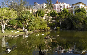 BAHIA DEL DUQUE (3 фото из 10)