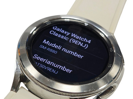 Nutikell Samsung Galaxy Watch 4 Classic 20mm + laadija