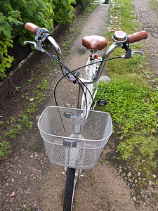 Naiste jalgratas 20" (2 foto / 3)