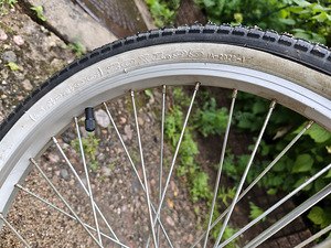 Naiste jalgratas 20" (3 foto / 3)