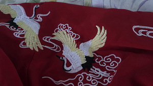 Chinese Hanfu with Embroidery (5 foto / 6)