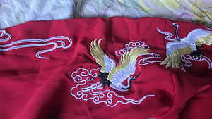 Chinese Hanfu with Embroidery (6 foto / 6)