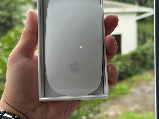 Magic Mouse