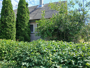 Aedniku tn, Sillamäe, Ida-Virumaa (3 foto / 5)