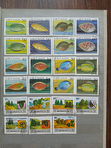 Postmargid (9 foto / 10)