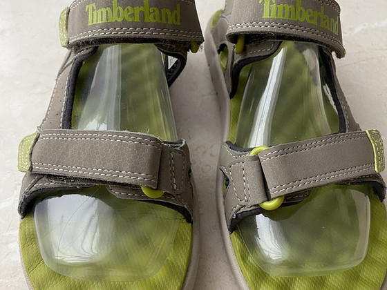 Timberland