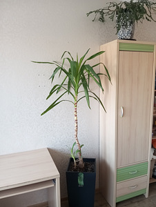 Laste mööbel (3 foto / 7)
