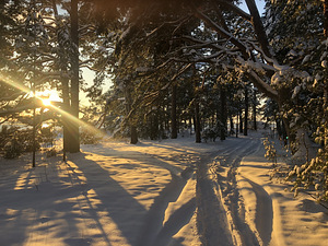 Lohusalu tee 100, Lohusalu, Lääne-Harju vald, Harjumaa (10 foto / 29)
