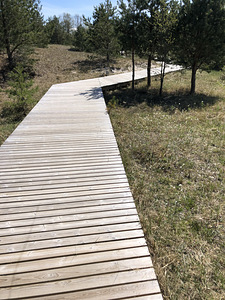 Lohusalu tee 100, Lohusalu, Lääne-Harju vald, Harjumaa (14 foto / 29)