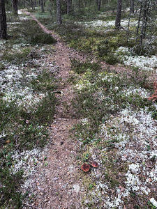 Lohusalu tee 100, Lohusalu, Lääne-Harju vald, Harjumaa (20 foto / 29)