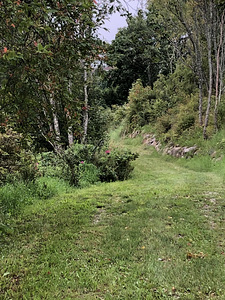 Lohusalu tee 100, Lohusalu, Lääne-Harju vald, Harjumaa (26 foto / 29)