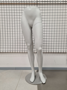 Mannekeeni jalad (1 foto / 1)