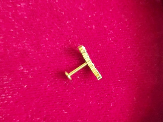 Labret, kõrvarõngas/neet