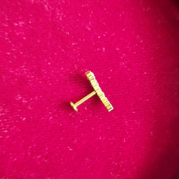 Labret, kõrvarõngas/neet
