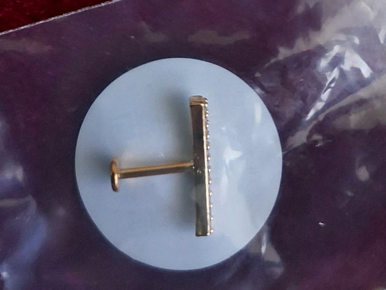 Labret, kõrvarõngas/neet