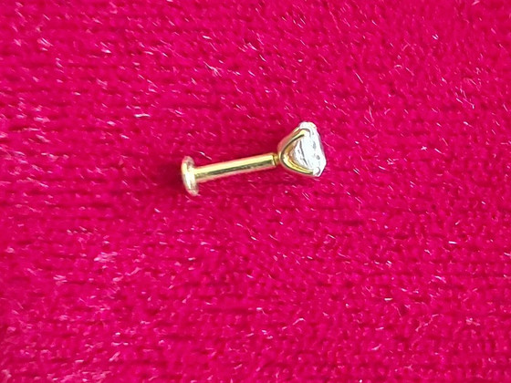 Labret, kõrvarõngas/neet