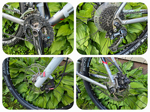 Focus Black Forest (8 фото из 10)